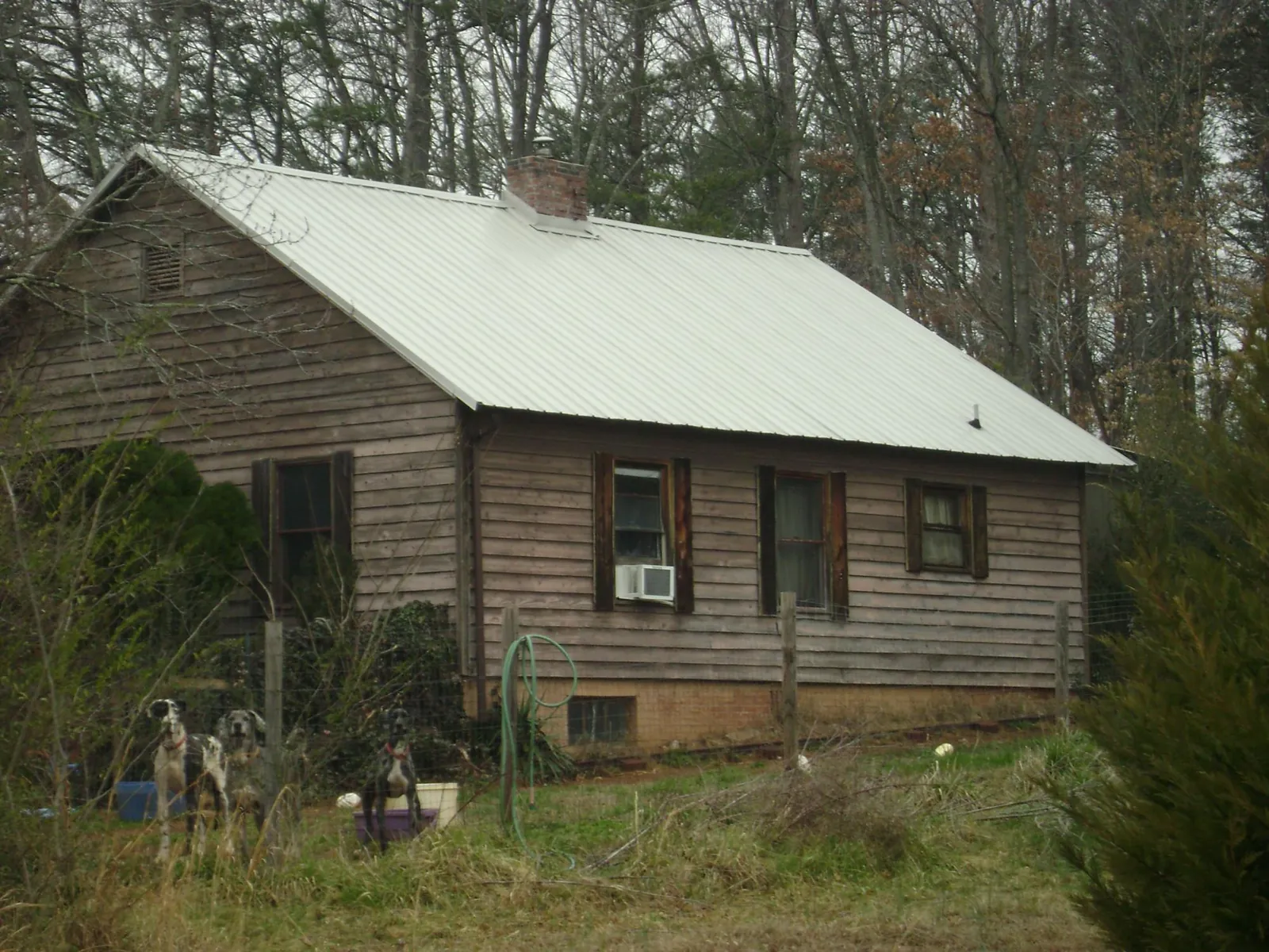 White metal roof on an old wood sided farmhouse in Kenton